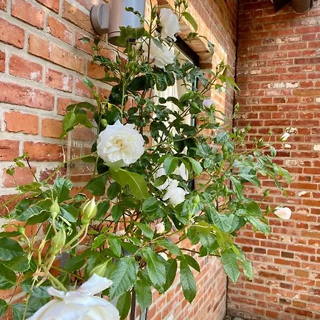 Muschelhaus - 3 Apartment